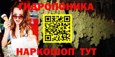 мет Ливны
