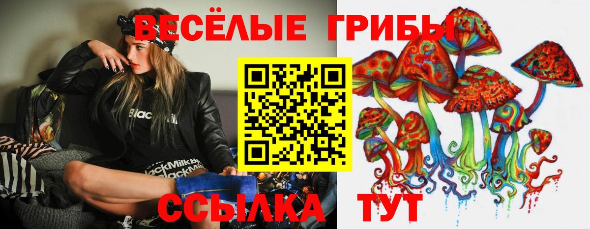 Галлюциногенные грибы GOLDEN TEACHER Курган